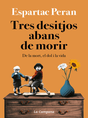 cover image of Tres desitjos abans de morir
